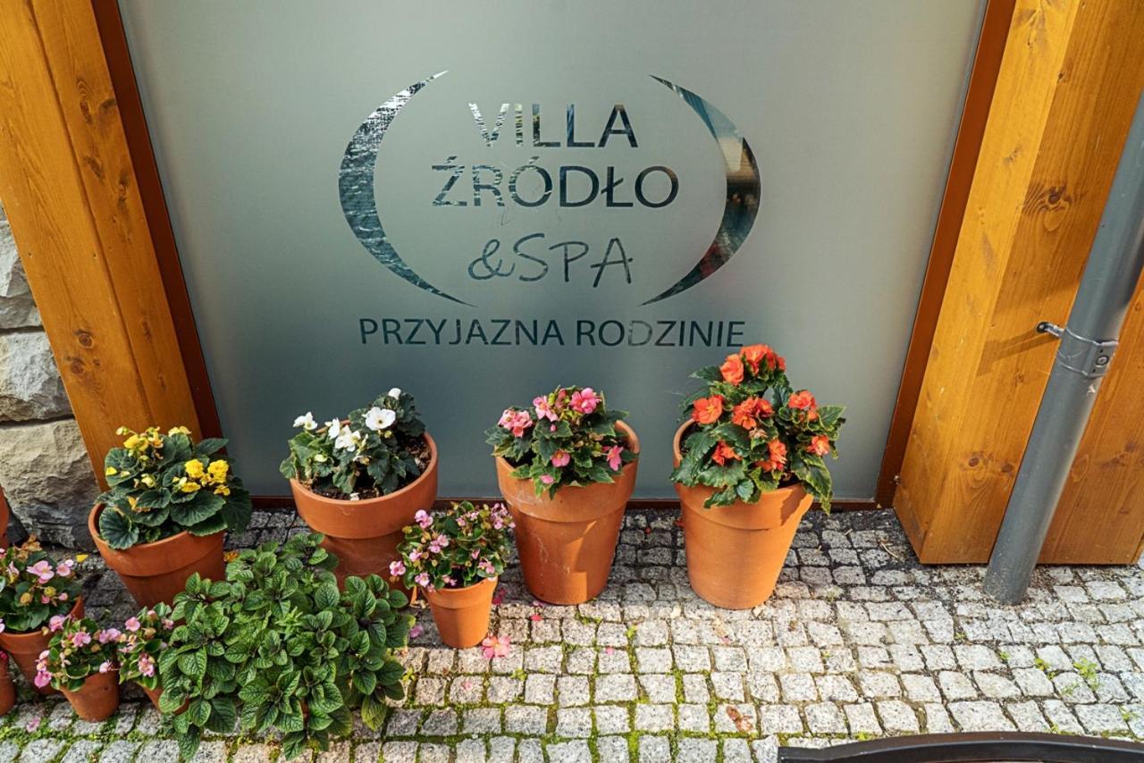 Villa Zrodlo & Spa كرينيتسا زدروي المظهر الخارجي الصورة
